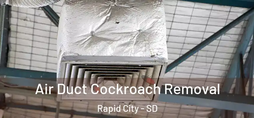  Air Duct Cockroach Removal Rapid City - SD