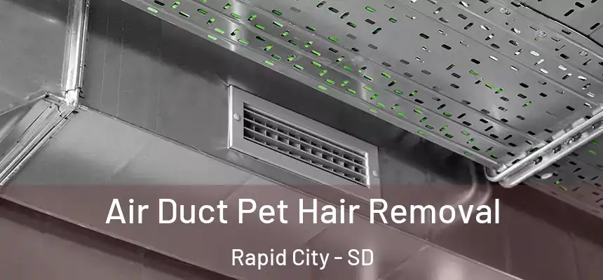Air Duct Pet Hair Removal Rapid City - SD