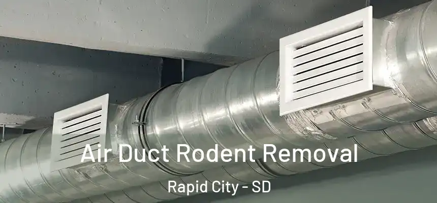 Air Duct Rodent Removal Rapid City - SD