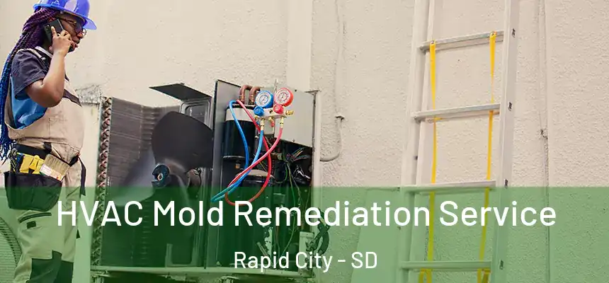 HVAC Mold Remediation Service Rapid City - SD