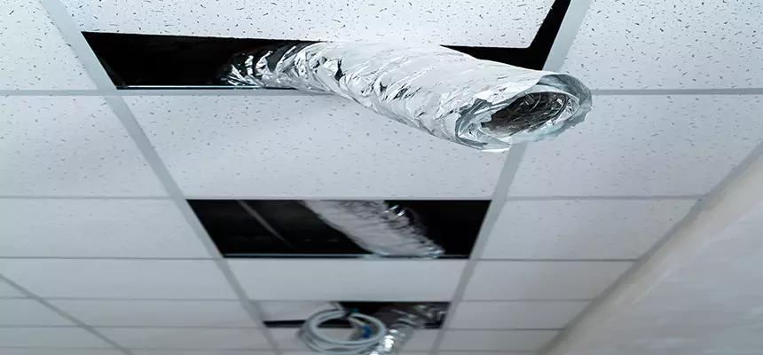 Affordable HVAC Sanitizing After Pest Removal in Rapid City