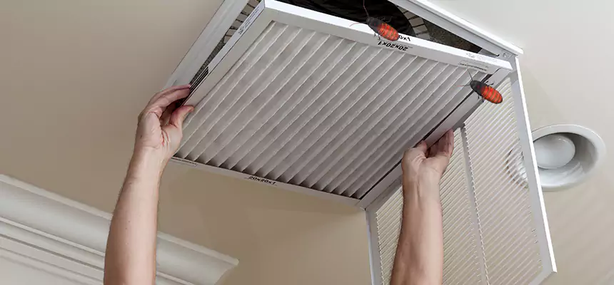 Our Insect Removal from Air Ducts Services in Rapid City, SD
