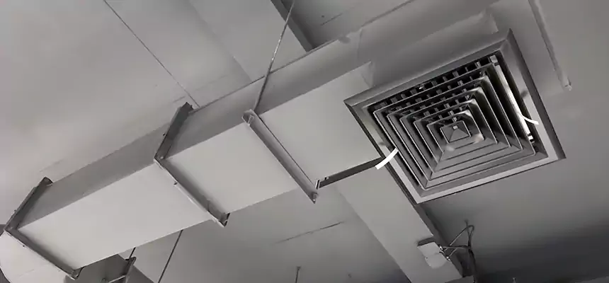 Our Pest Removal From Ducts Services in Rapid City, SD