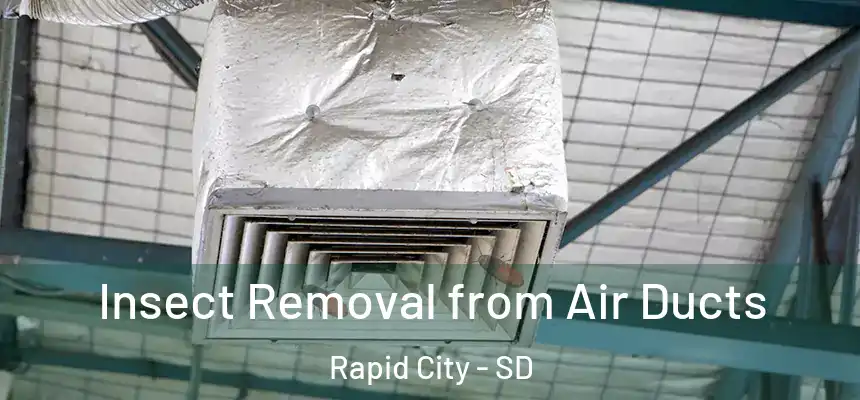 Insect Removal from Air Ducts Rapid City - SD
