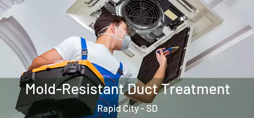 Mold-Resistant Duct Treatment Rapid City - SD