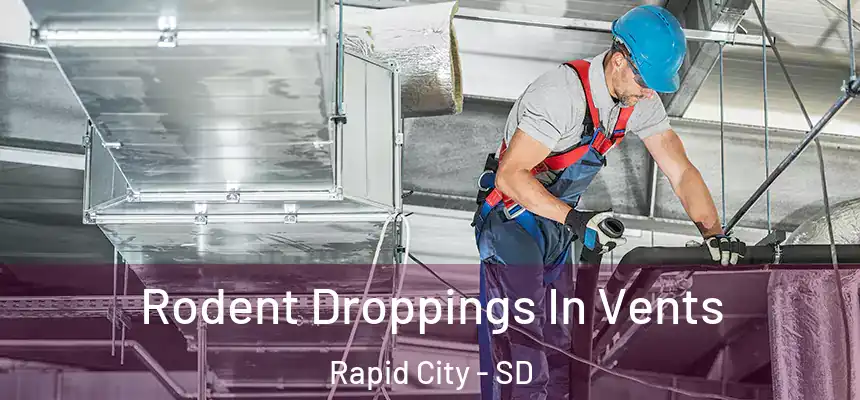 Rodent Droppings In Vents Rapid City - SD