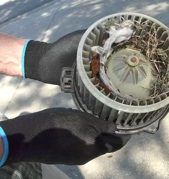 About Air Duct Mice Removal in Rapid City, SD