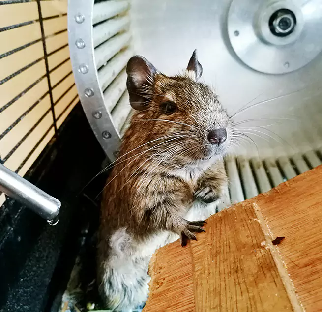 Why Homeowners & Businesses Trust Us Rapid City, SD