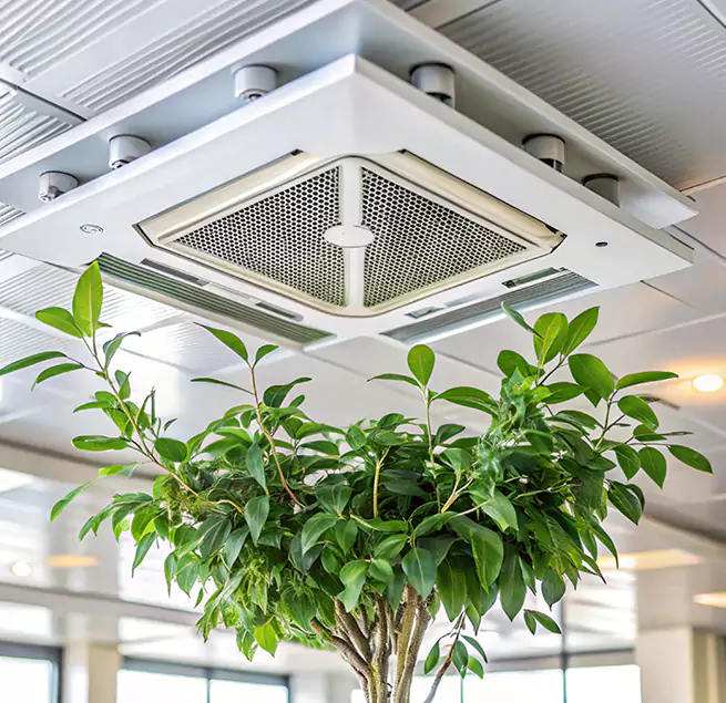 Why Homeowners & Businesses Trust Us in Rapid City, SD